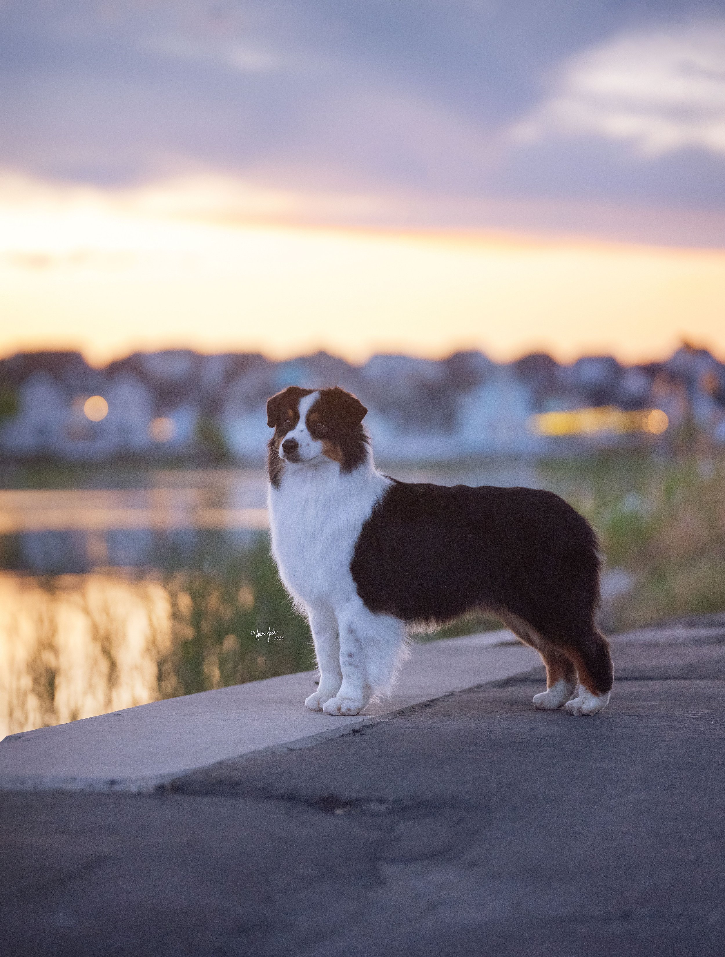 DSCF6914_1 resize.jpg