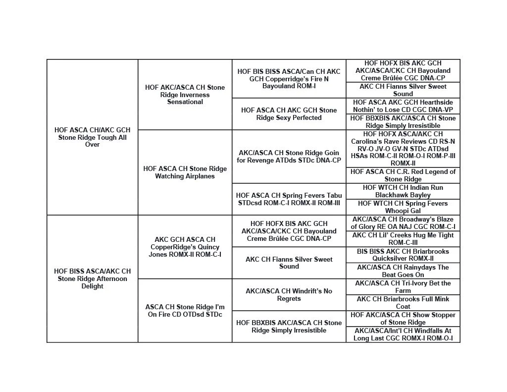 A complex pedigree chart for an Australian Shepherd for dogs with multiple generations, including names and titles of various dog breeds and achievements.