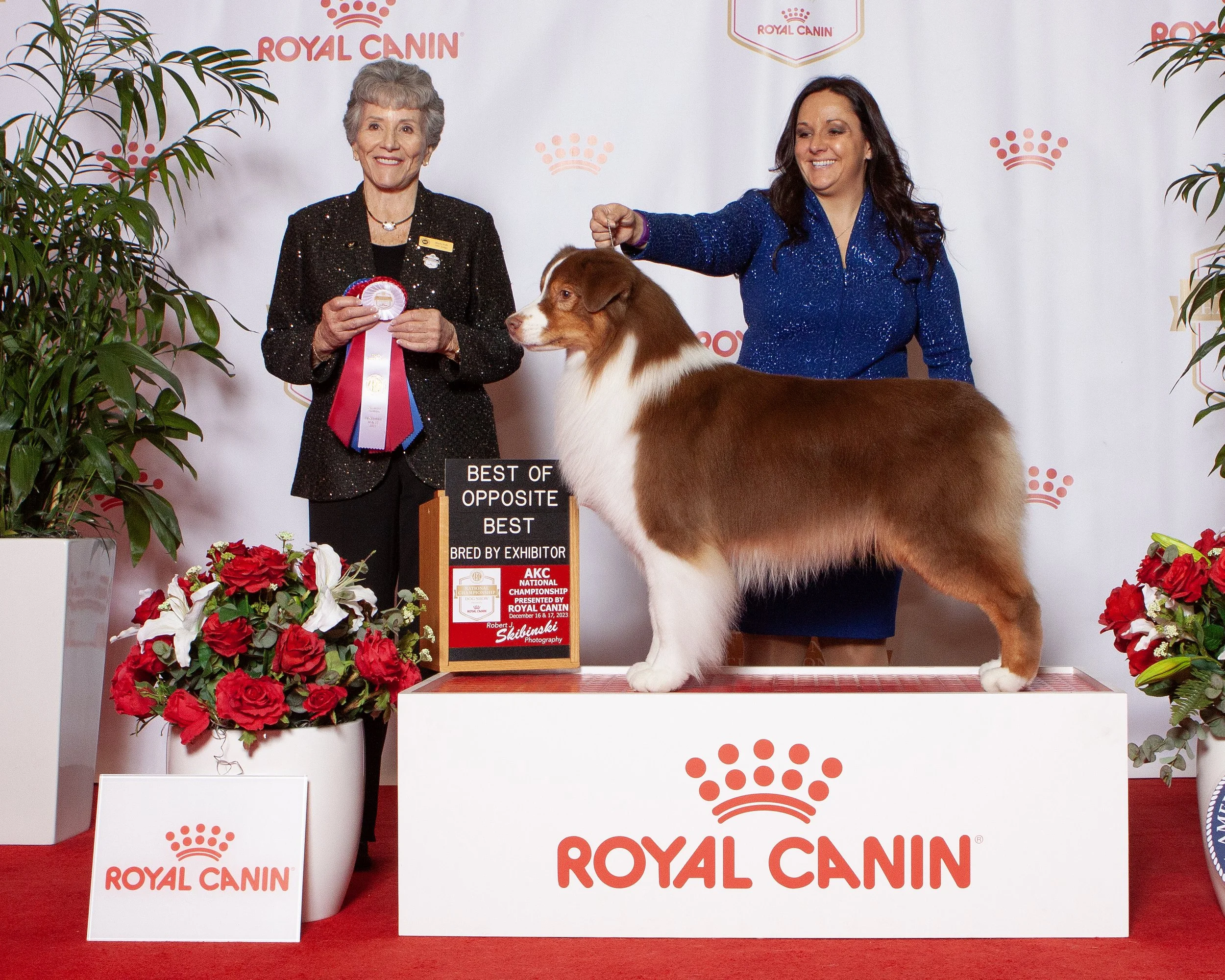 Australian Shepherd dog posing with two women, one holding a ribbon, and a sign indicating "Best of Opposite Best Bred by Exhibitor." The background features a Royal Canin logo and AKC.
