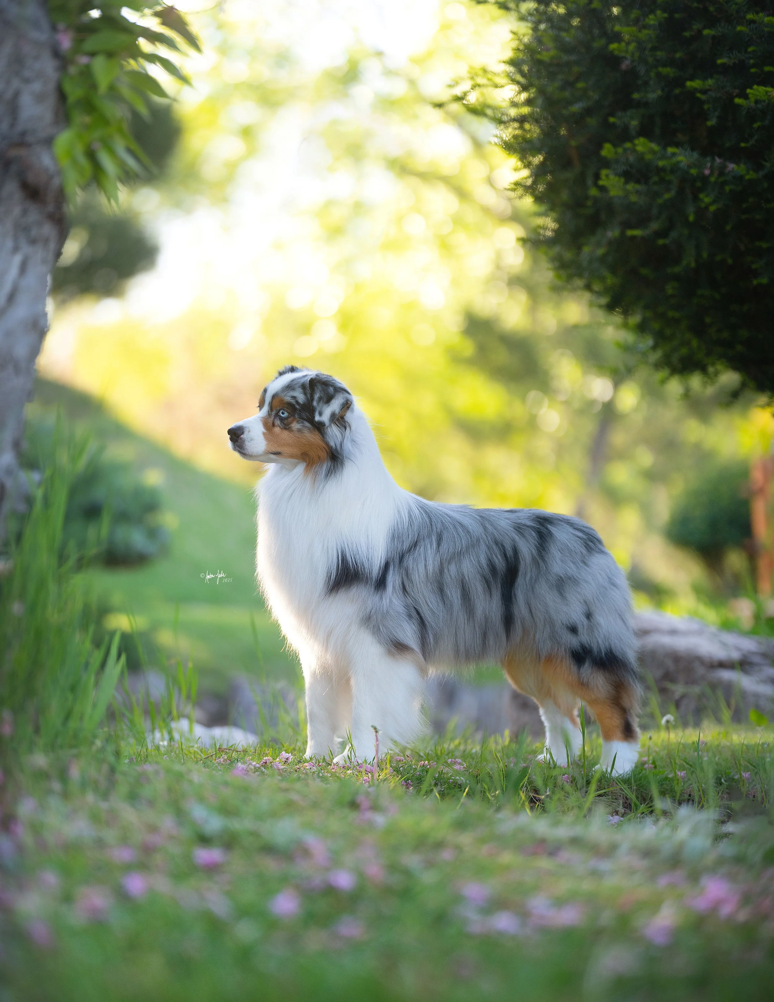 DSCF0547 - resize.jpg