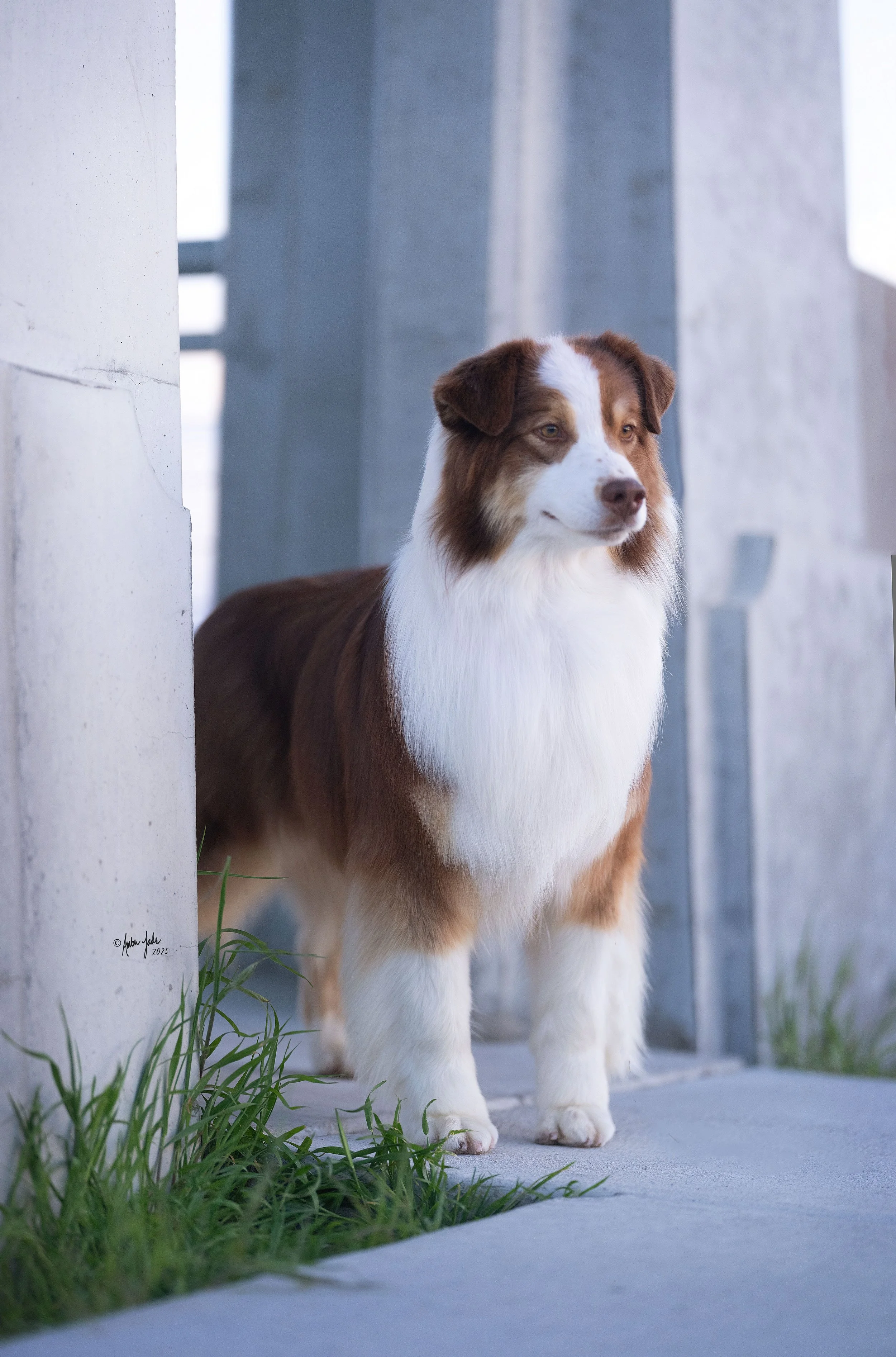 DSCF6577 - resize.jpg