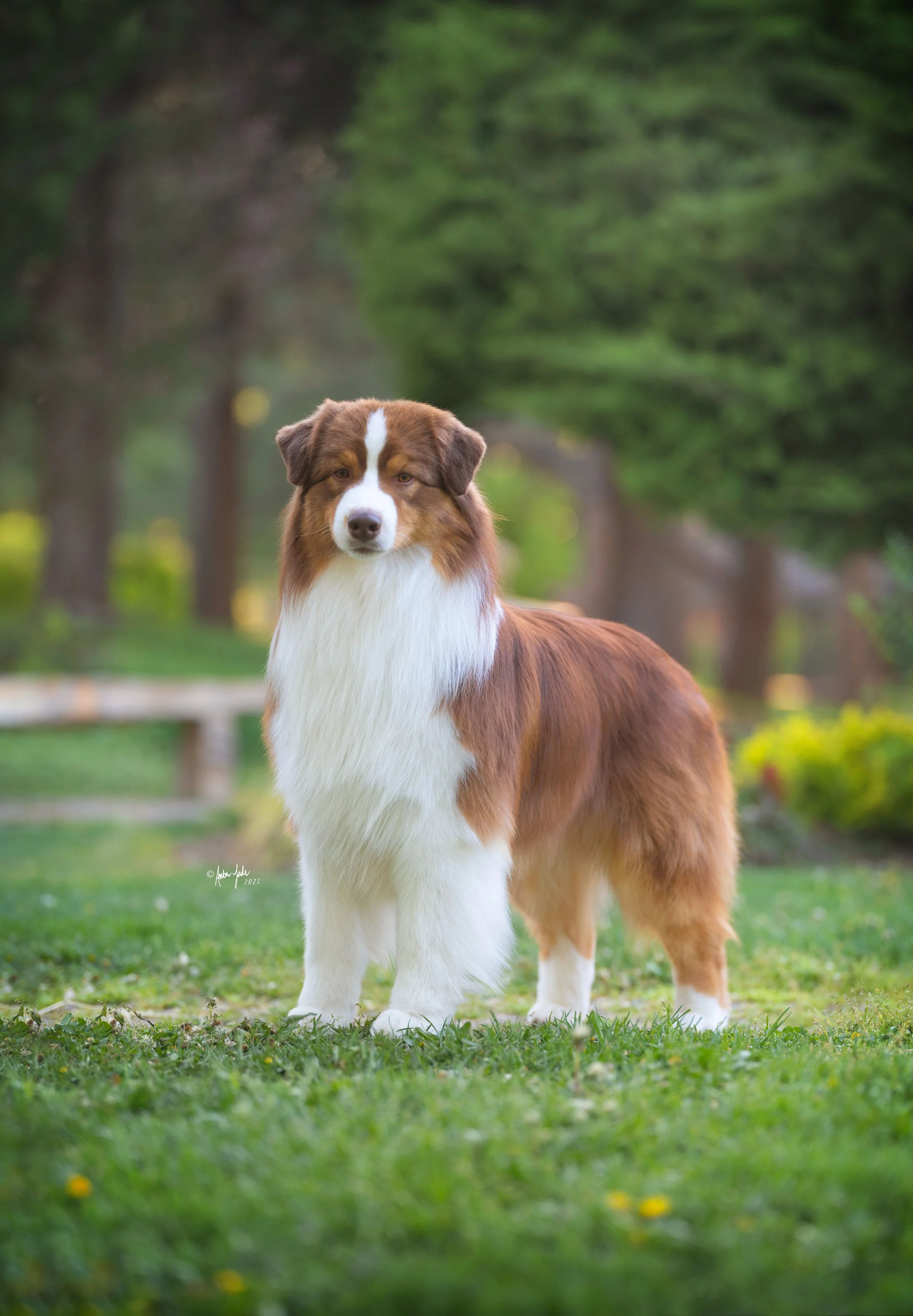 DSCF0996 - resize.jpg