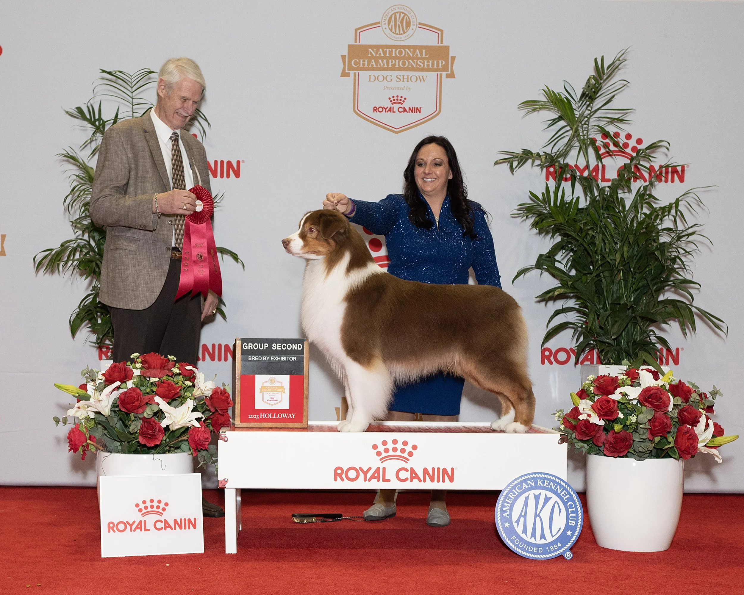 A dog show with a woman and a man presenting a red tri Aussie, Australian Shepherd dog, standing on a platform with a sign that reads 'Group Second.' with logos for Royal Canin and AKC, along with flowers and potted plants.