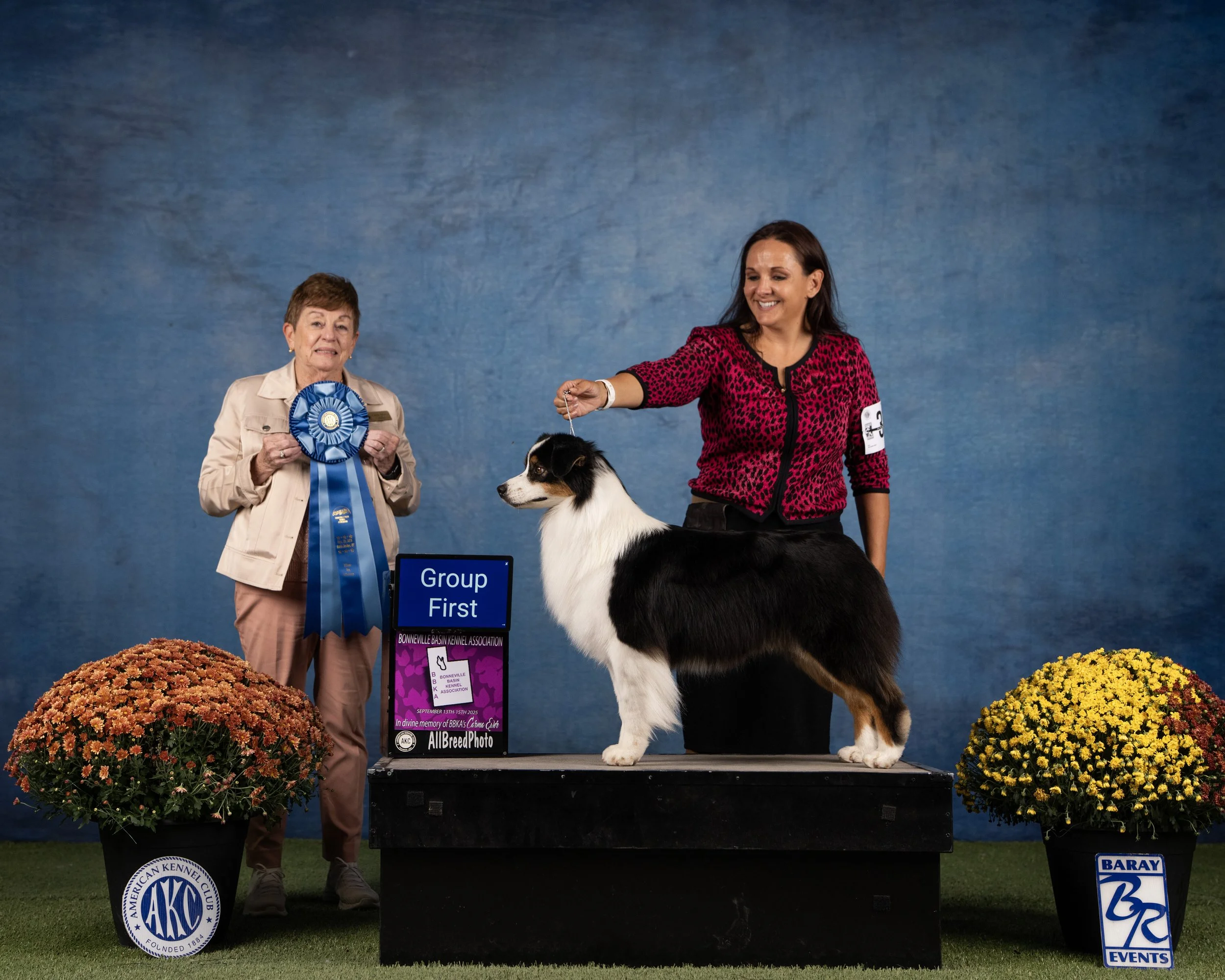 AusG111108391 copy.jpg