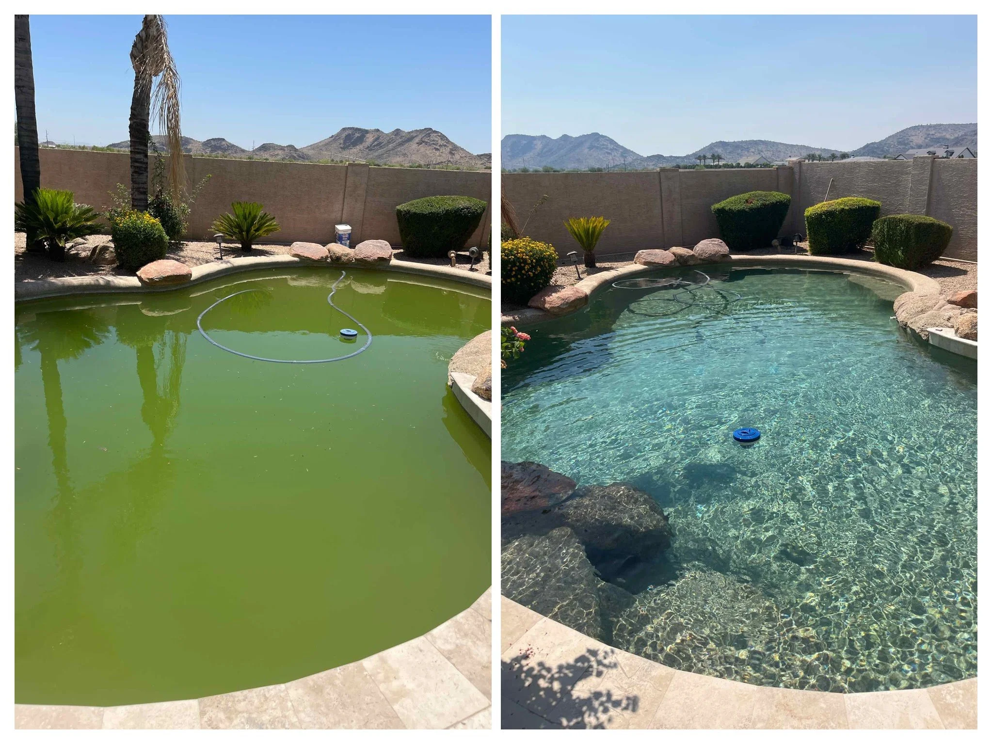 From swamp to swim-ready.

Heavy algae bloom, zero visibility &mdash; but instead of draining, we treated it properly.

With the right chemical process, circulation, and monitoring, we were able to restore this pool without a drain.

Draining isn&rsq