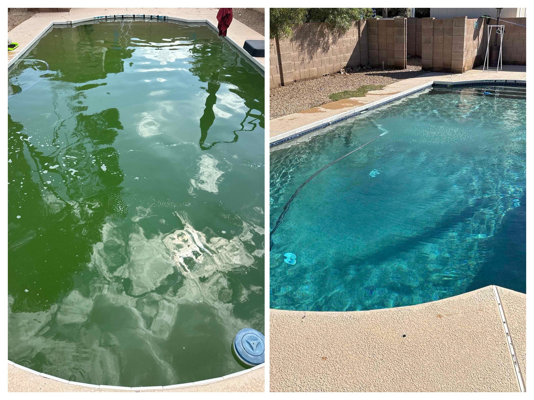 Friday the 13th is scary enough. Your pool doesn&rsquo;t have to be. 👀

Algae doesn&rsquo;t care about superstition &mdash; it just grows.

This one was fully treated and restored to crystal clear.

If your pool is looking a little frightening&helli