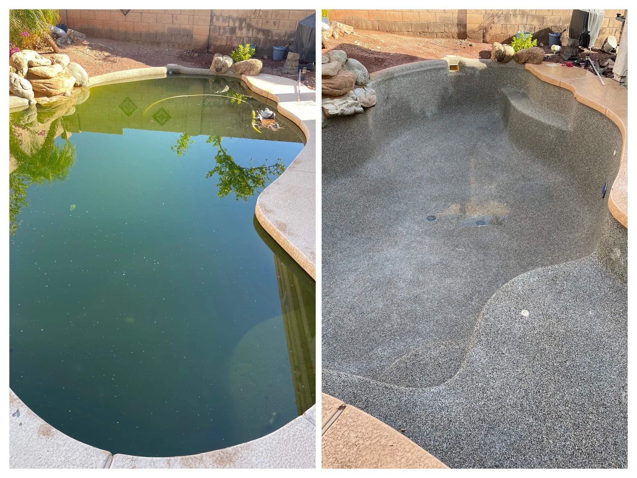 Neglected pools can quickly become mosquito breeding grounds.

When pool water sits untreated, mosquitoes can multiply rapidly in the stagnant water. In Arizona, mosquitoes can carry diseases, which makes neglected pools a real concern for neighborho