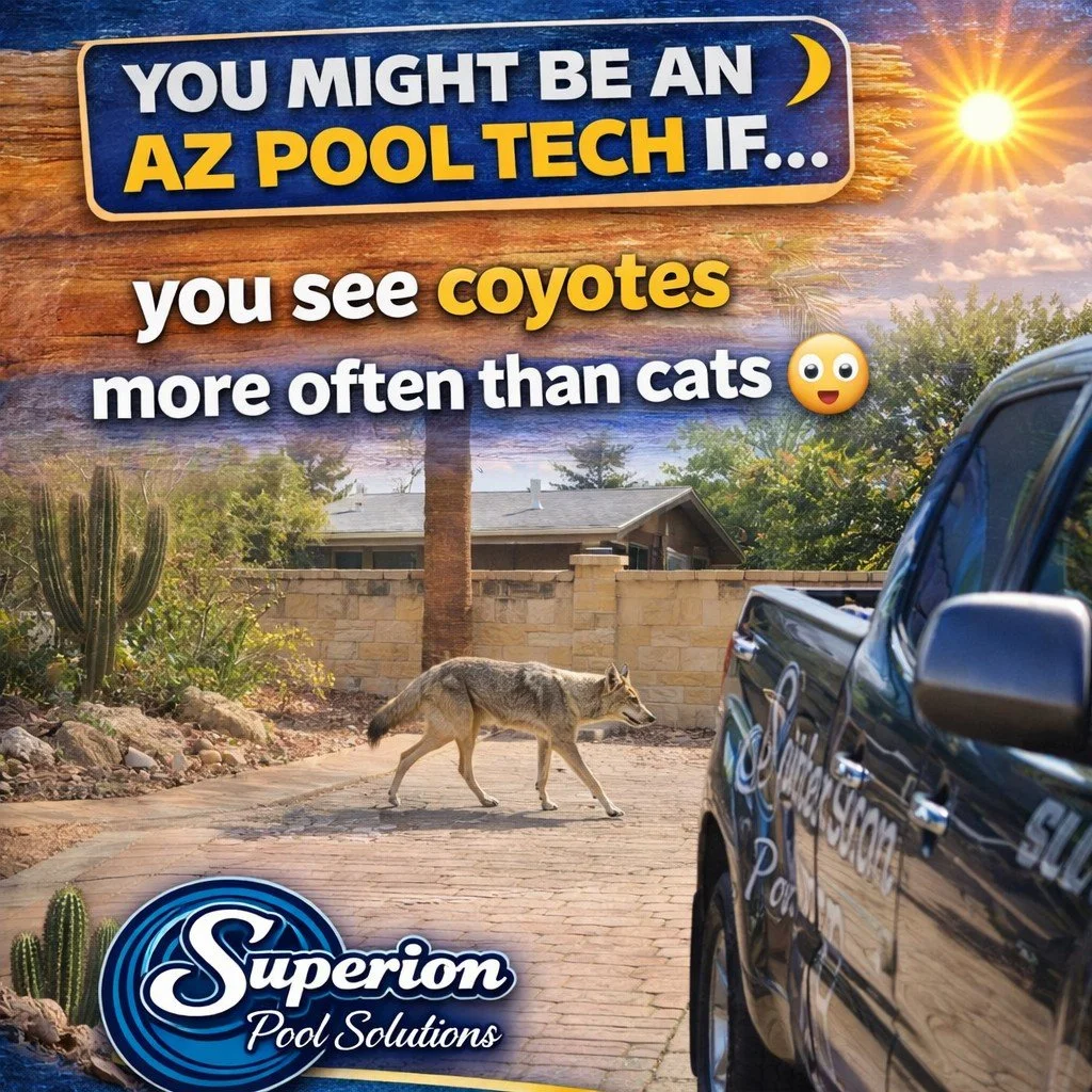 You might be an AZ pool tech if&hellip; 👀

You see as many coyotes as cats 🐺😅

Just another normal day on route out here 🌵☀️

👉 Arizona pools come with a few extra &ldquo;features&rdquo;