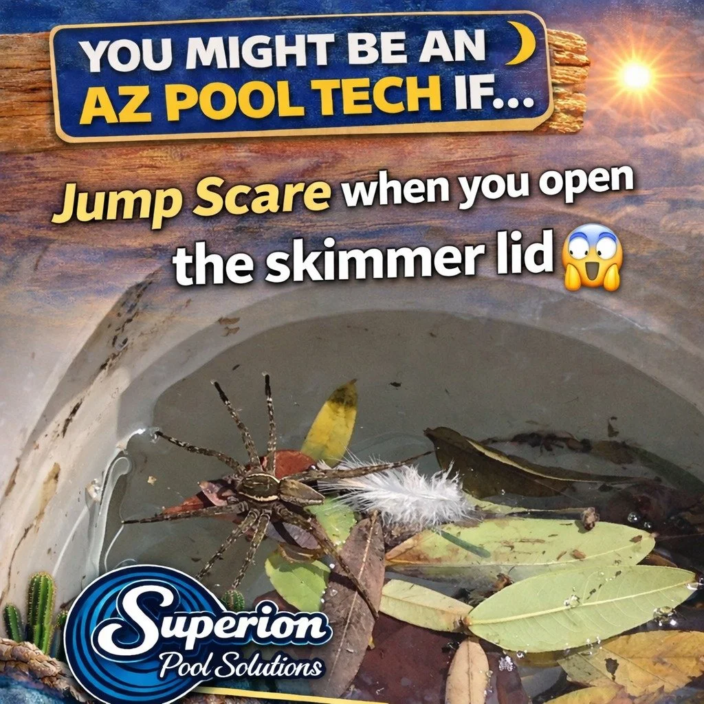 😂 You Might Be an AZ Pool Tech If...

...opening a skimmer lid feels like a scene from a horror movie.

One minute you're expecting a handful of leaves. The next minute you're making eye contact with something that definitely pays rent there. 😳🕷️
