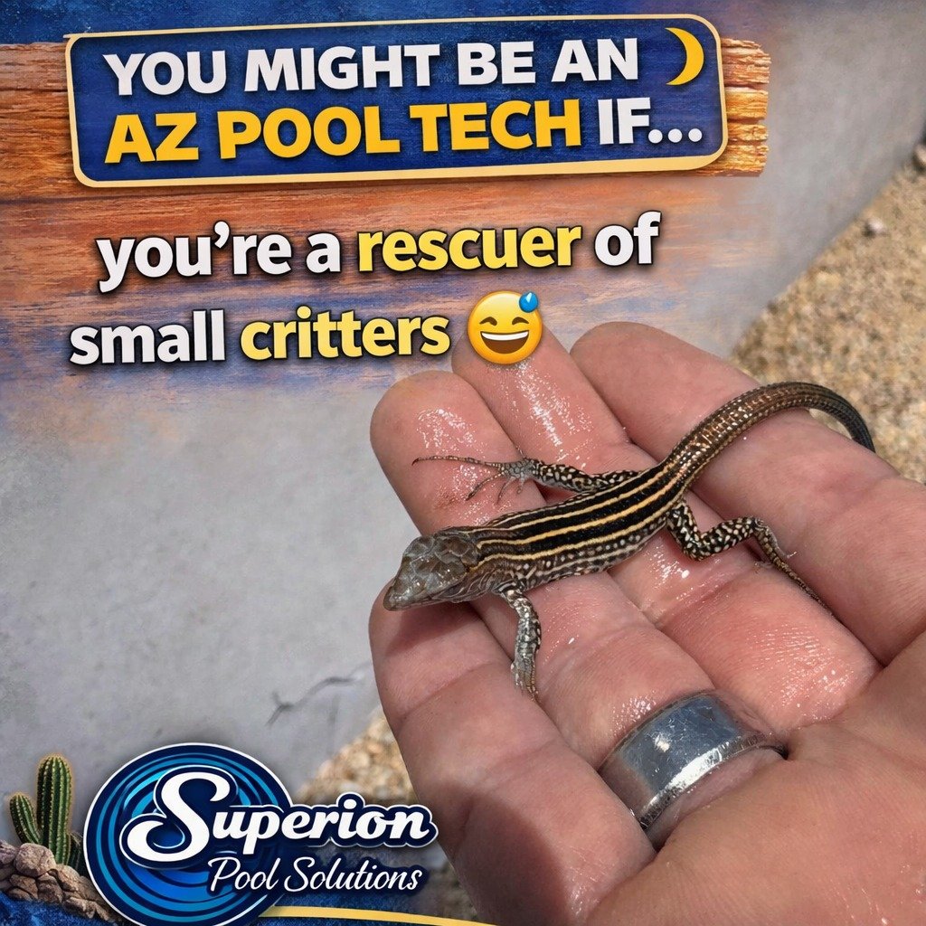 😂 YOU MIGHT BE AN AZ POOL TECH IF&hellip;

&hellip;you&rsquo;ve become an unofficial wildlife rescue service. 🦎💦

Arizona pools have a way of attracting all kinds of tiny visitors, and sometimes our pool techs spend part of their day giving lizard