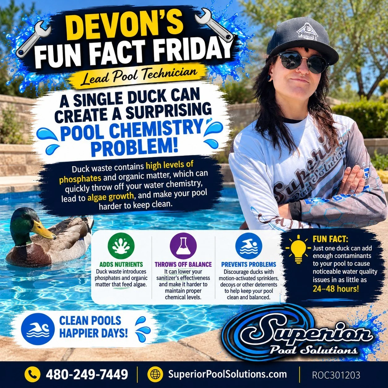 🦆 FUN FACT FRIDAY! 💦

One duck in your pool might look cute and harmless&hellip;but what it leaves behind definitely isn&rsquo;t. 😂

Duck waste adds phosphates and organic matter to your pool water, giving algae extra nutrients and making your san