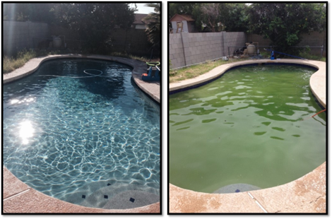 green pool service