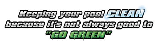 BestGreen Pool Service.