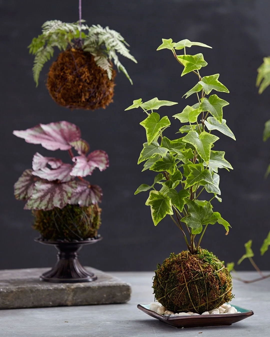 Kokedam & Cocktails At The Brewery