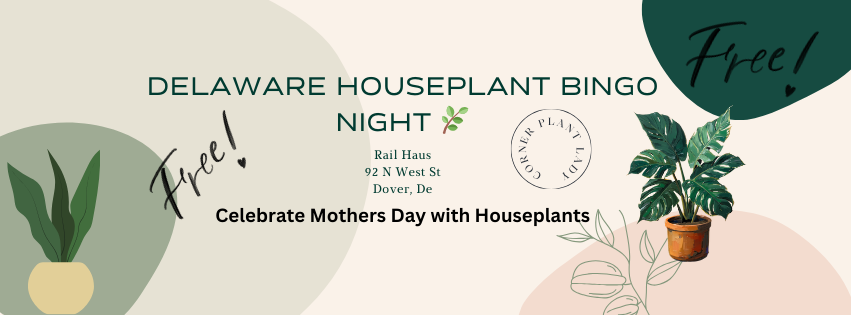 Dover Houseplant Bingo