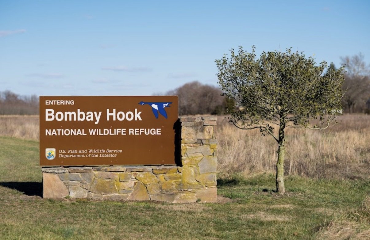 April Kent County Plant Swap