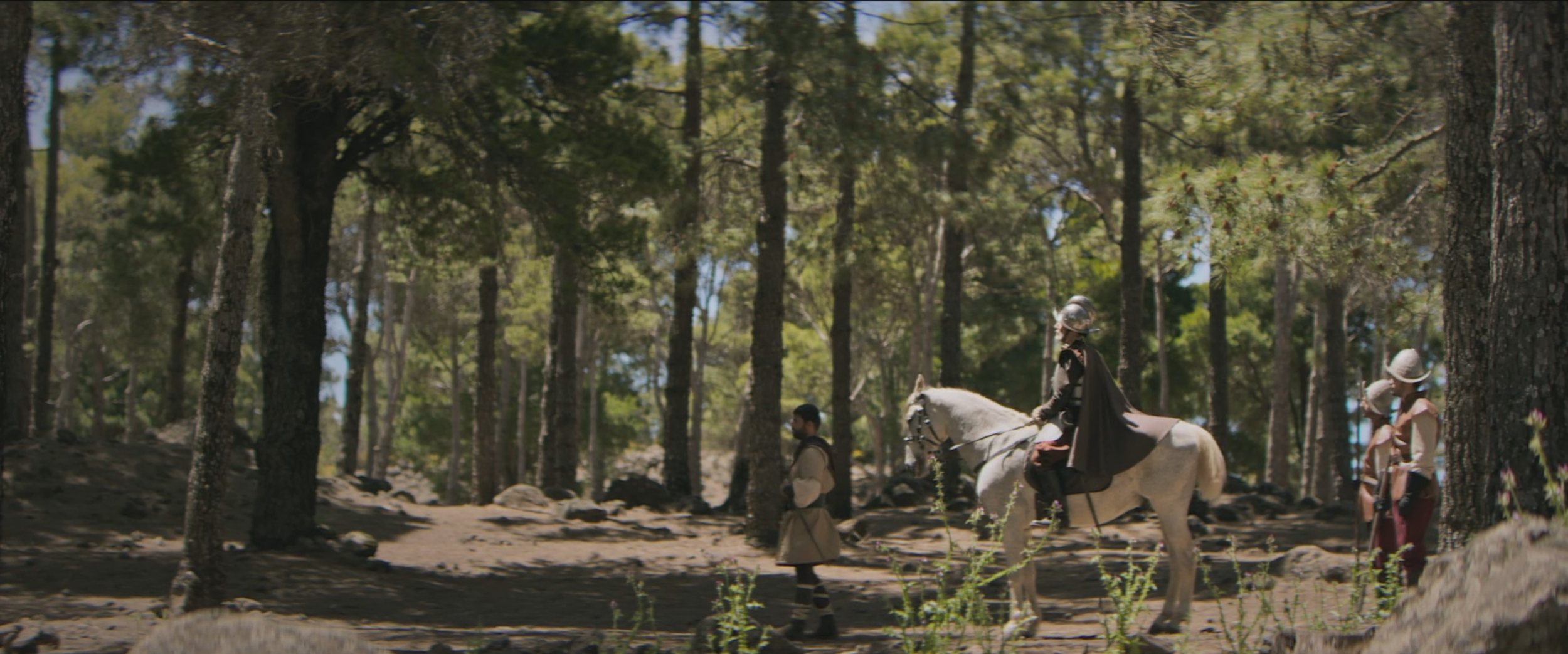 Captura de pantalla 2026-06-18 104026.png