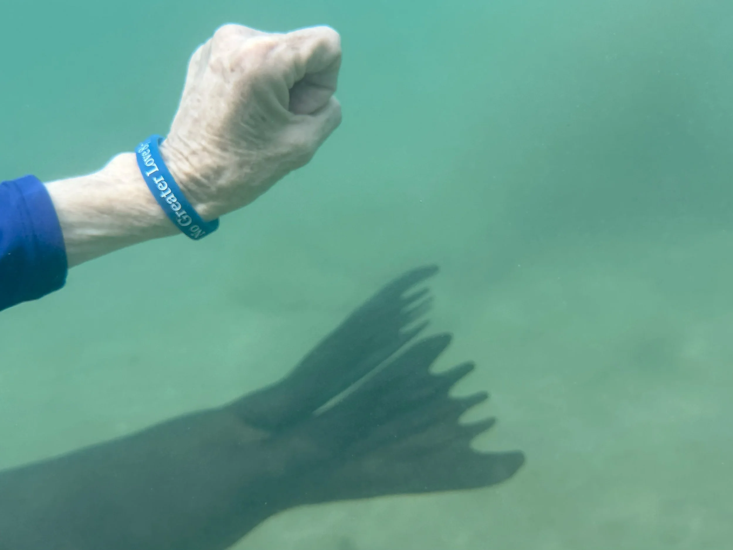 Galapagos Islands, Ecuador, Swimming with Sea Lions- Teresa and Robert Albin 2026