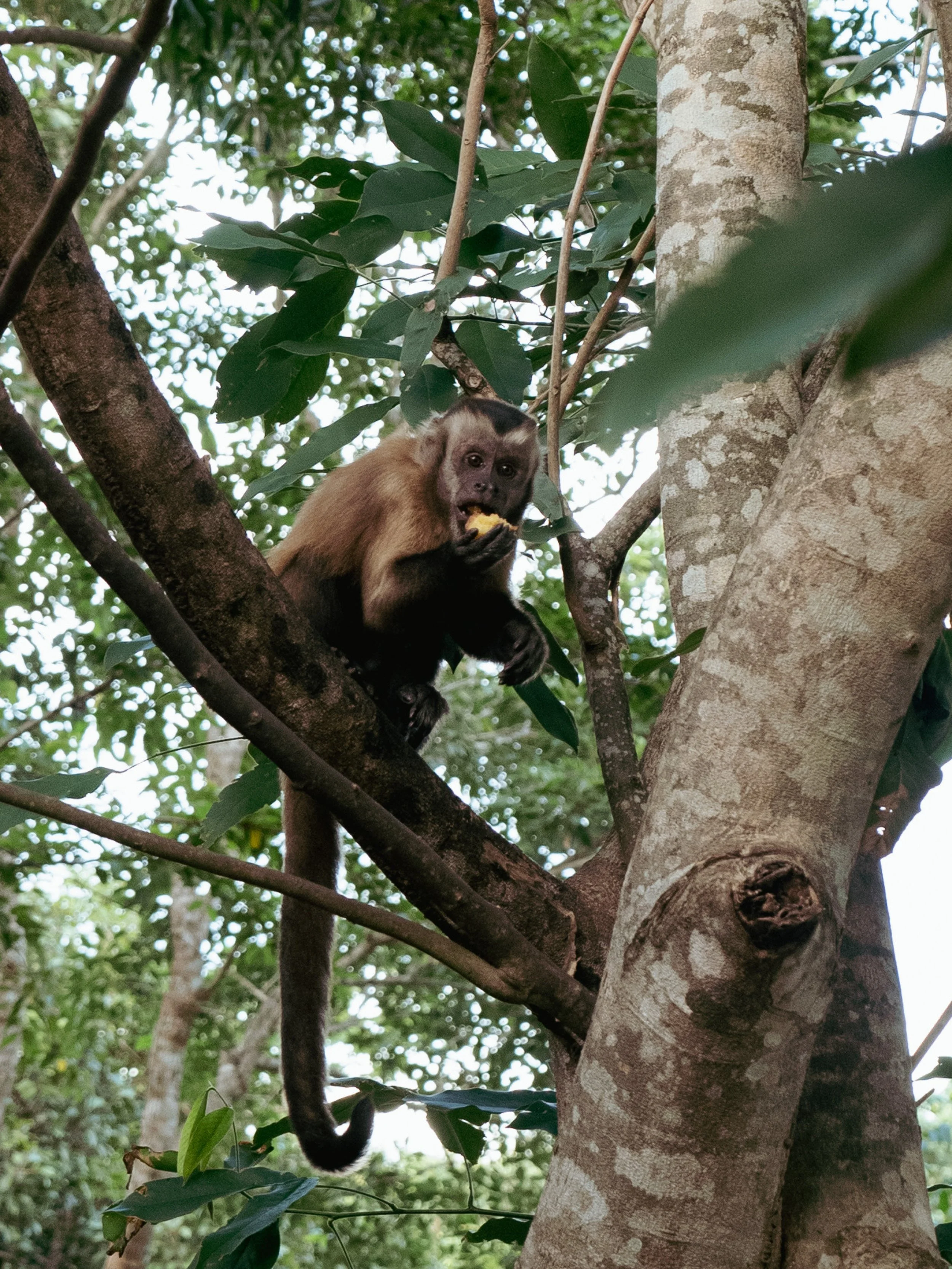 P1165175.jpg