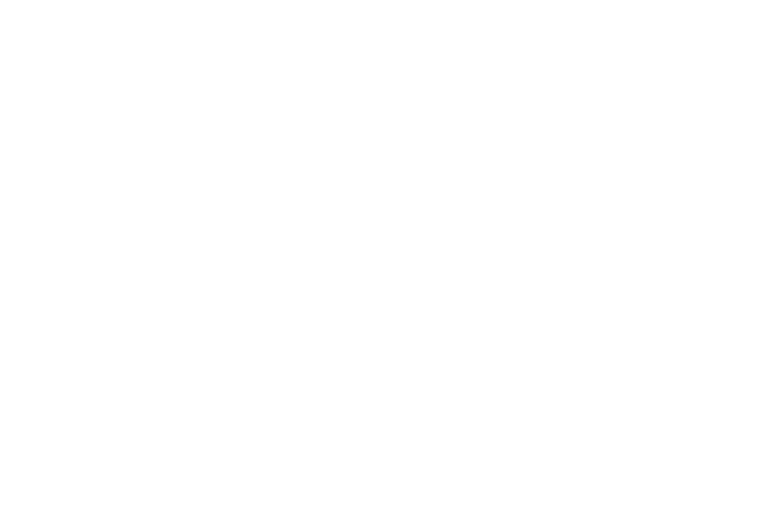 Blake Castle 
