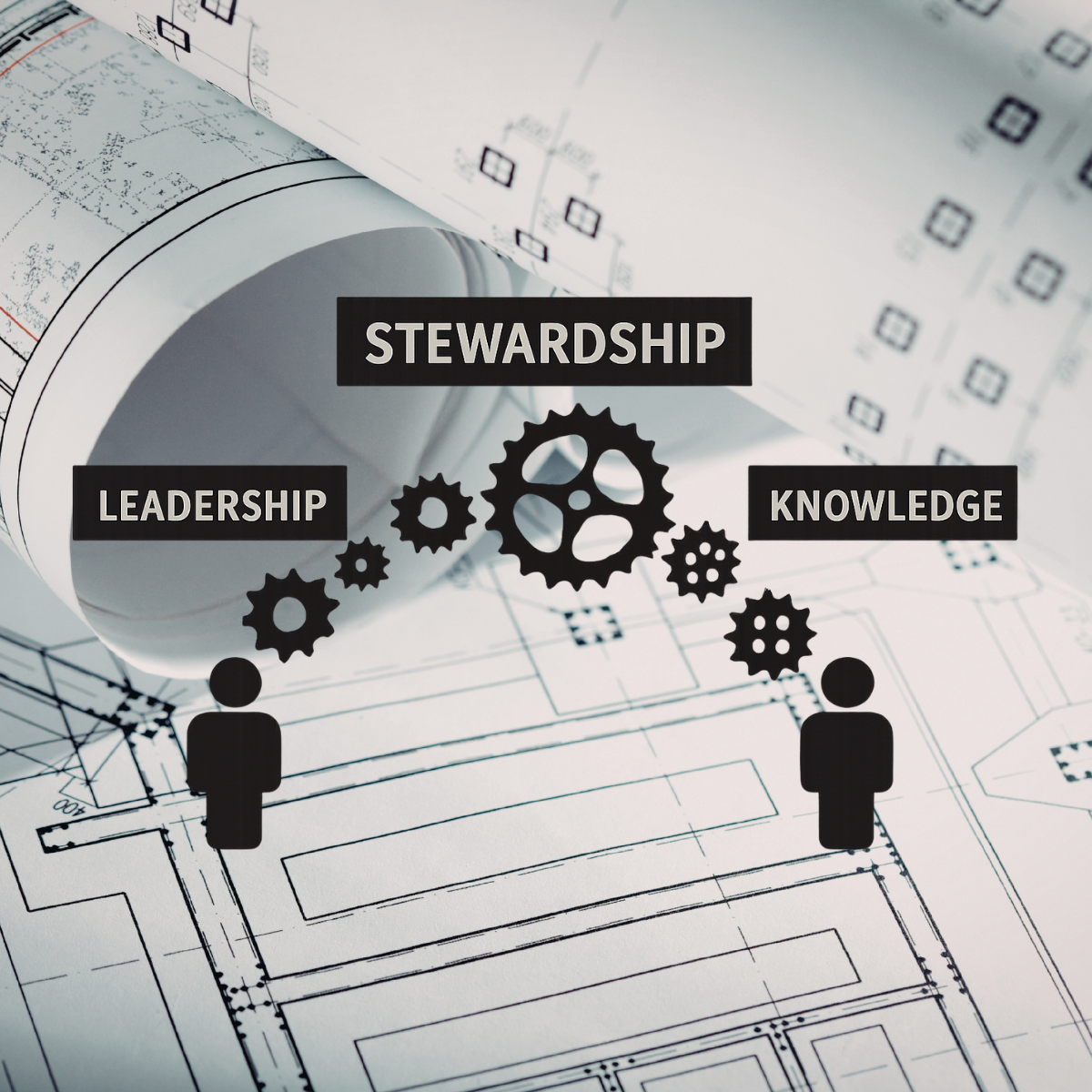 The Leadership Transition Most Professional Firms Underestimate