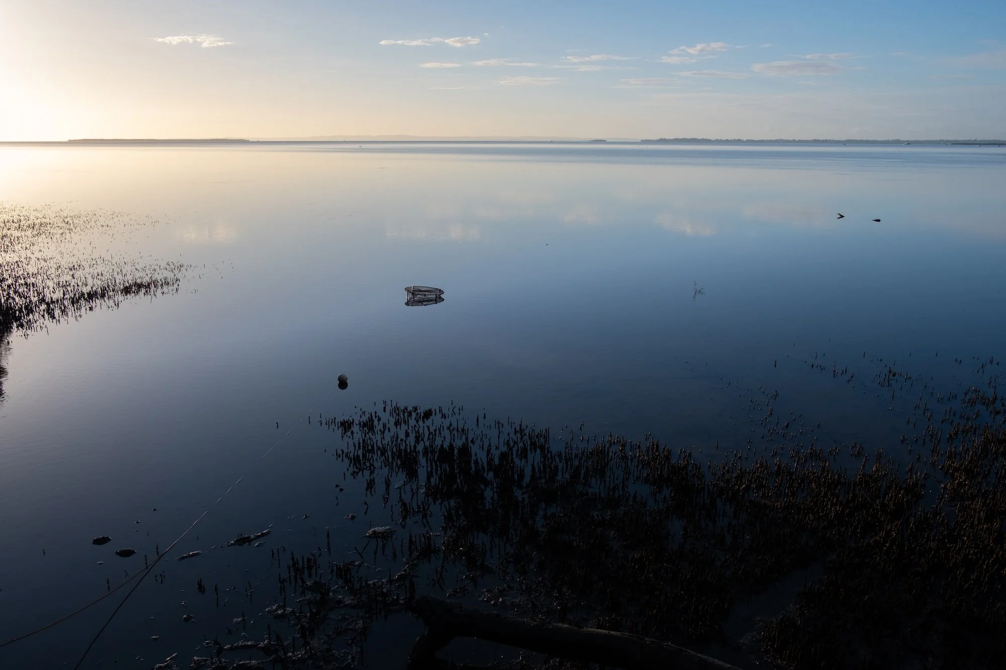 How Changing Your Lens Can Transform Your Photography Perspective