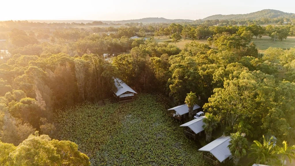 Aerial view of a lush, green forested area with several small structures with metal roofs, surrounded by dense trees and a pond, during sunset or sunrise.