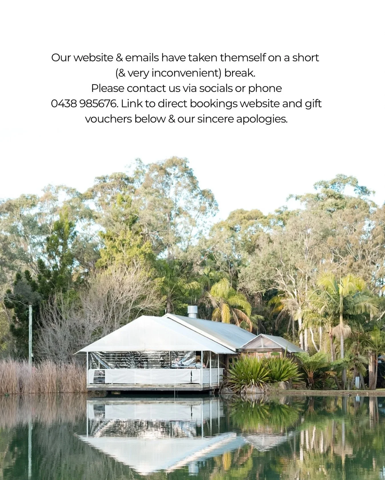 UPDATE: our website is back and running and we now have emails but any emails sent to us last week are still lost in cyber space. Waiting on a reply? Please email us again! 

Our server is down. Stress levels are up! 

We have not been able to access