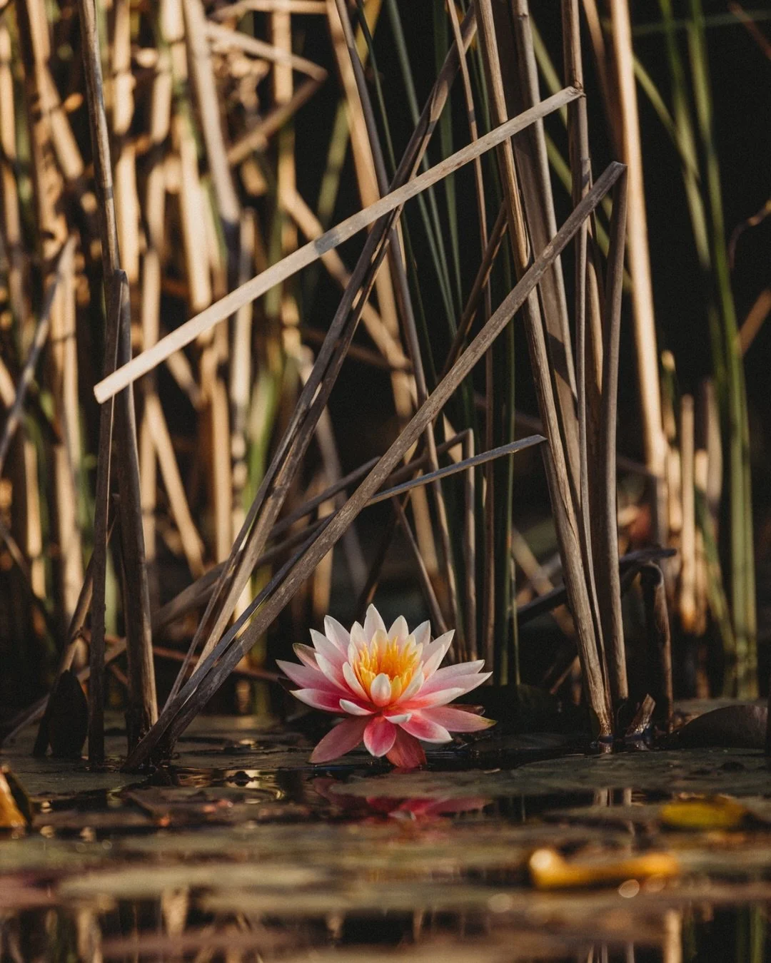 The highest praise we receive is simple yet powerful: &ldquo;We can&rsquo;t wait to return.&rdquo;
A sentiment we&rsquo;re honoured to hear time and time again.

Scroll for a collection of guest reflections &mdash; quiet love letters from those who h