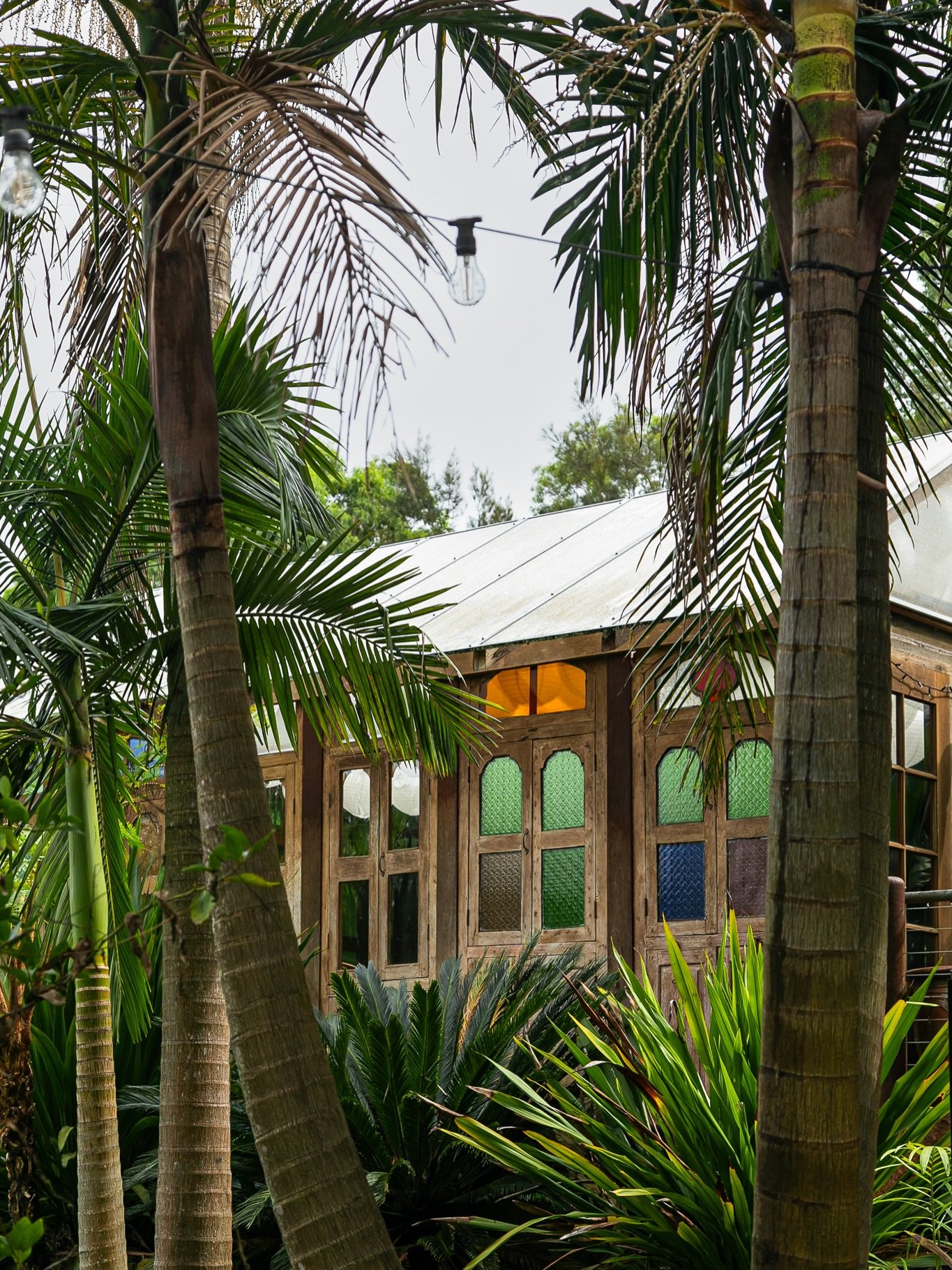 Quiet corners, dappled light, and moments you almost miss if you&rsquo;re not looking. 
The beauty here isn&rsquo;t loud &mdash; it unfolds slowly, one step at a time. 

📸 @jessicabellef 

#huntervalley #leavesandfishes #weddingvenue #weekendgetaway