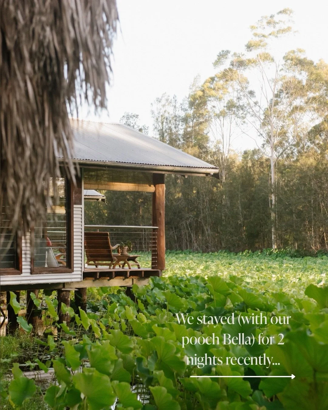 Words from our guests 🤍

Some places have a way of staying with you long after you&rsquo;ve left.

We love that this little corner of the Hunter Valley has become a place guests can&rsquo;t wait to return to.

&lsquo;Would not hesitate to recommend 