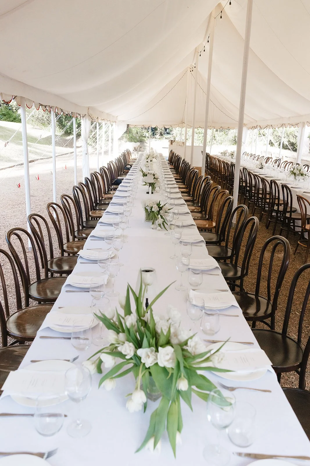 Long dining table with white tablecloth set for a formal event under a tent. The table is decorated with white floral arrangements and place settings including glassware and napkins. Surrounding the table are dark wooden chairs. The tent is outdoors with trees and grass visible outside.