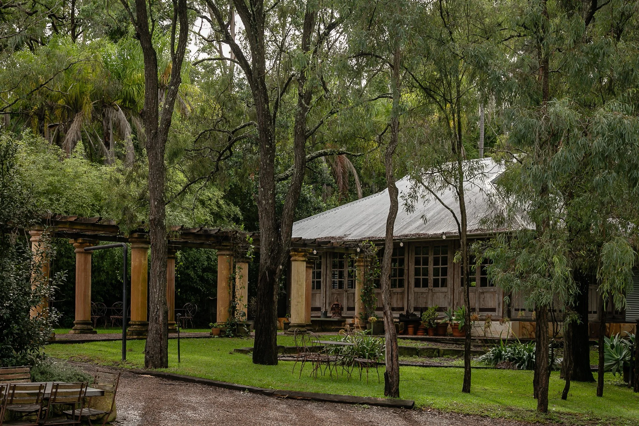Open ground with a lot space and trees at the Commons