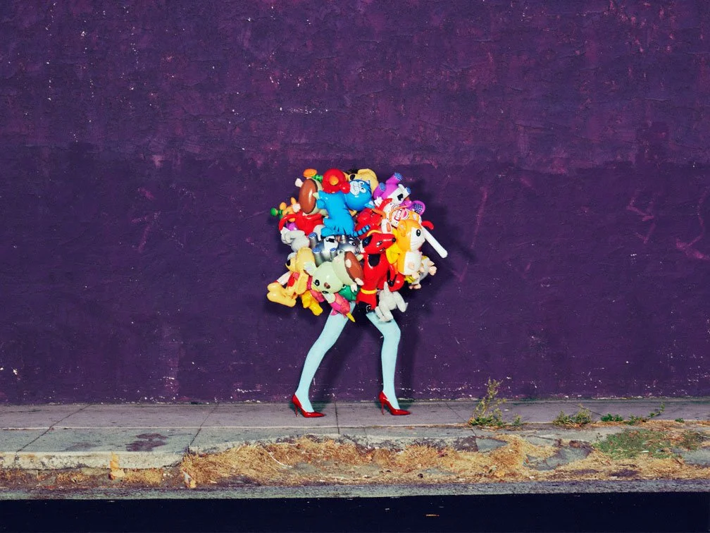 Balloon Series, Animals, 2008 |
Editions coming soon, contact for customs