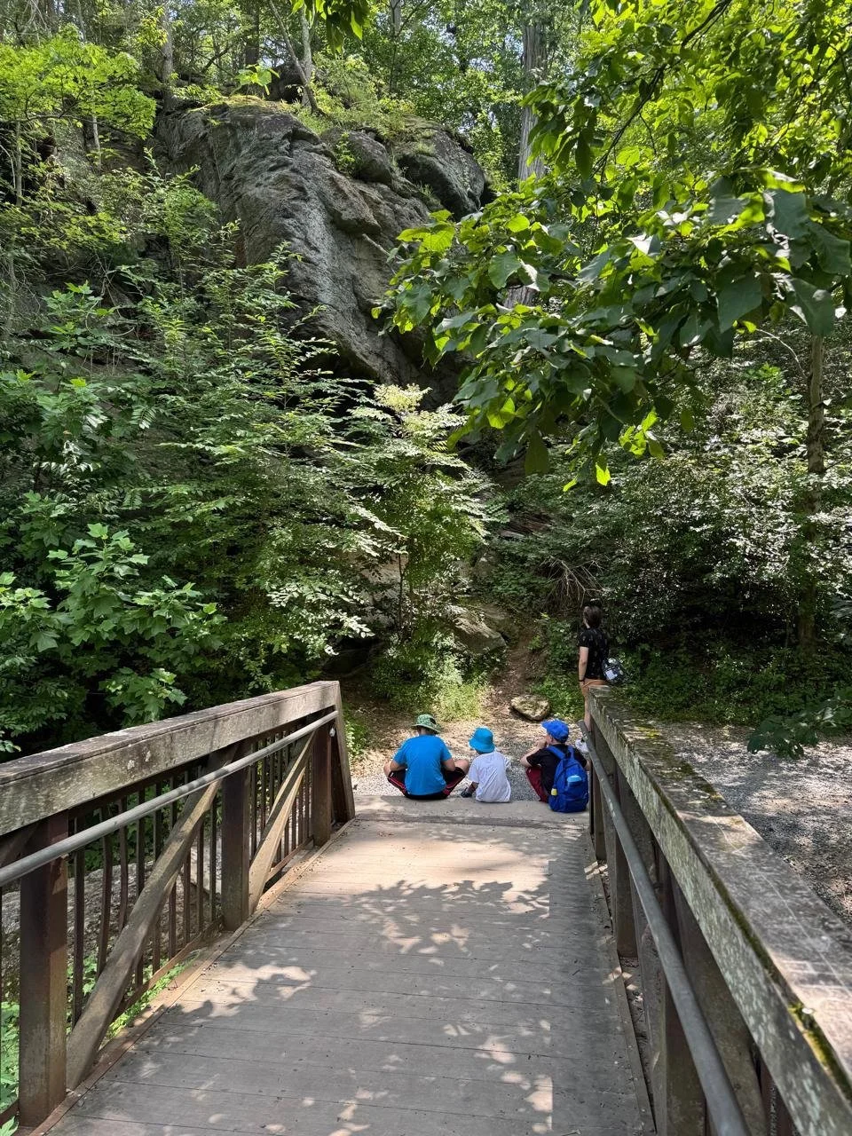 A wooden bridge over a stream in a lush green forest. Four children and one adult sitting and standing at the end of the bridge, surrounded by dense trees and rocky terrain.