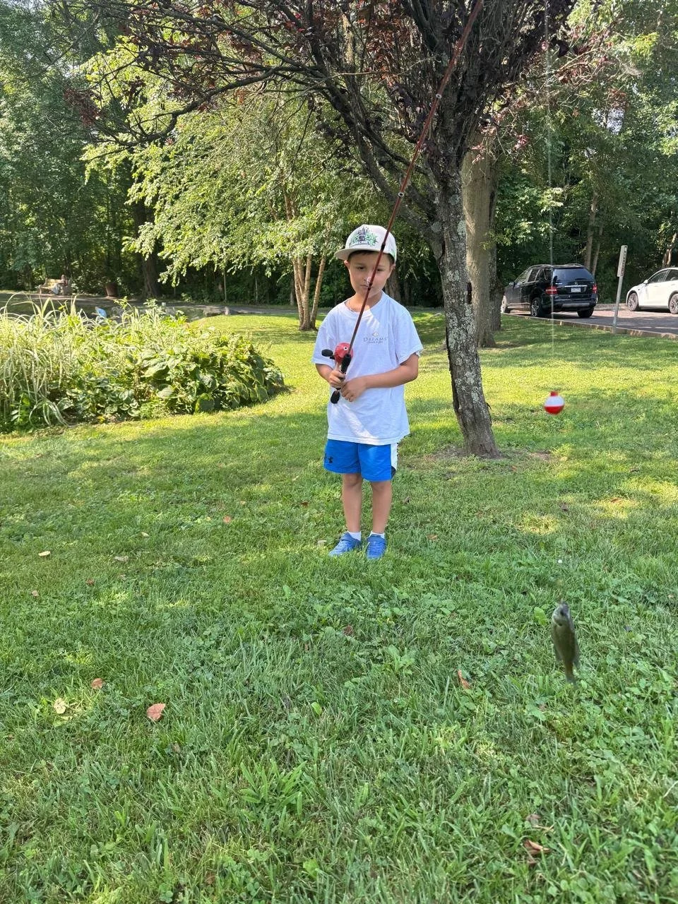 Young boy fishing while standing on a grassy lawn near a tree, with one fish caught and hanging from his fishing line.