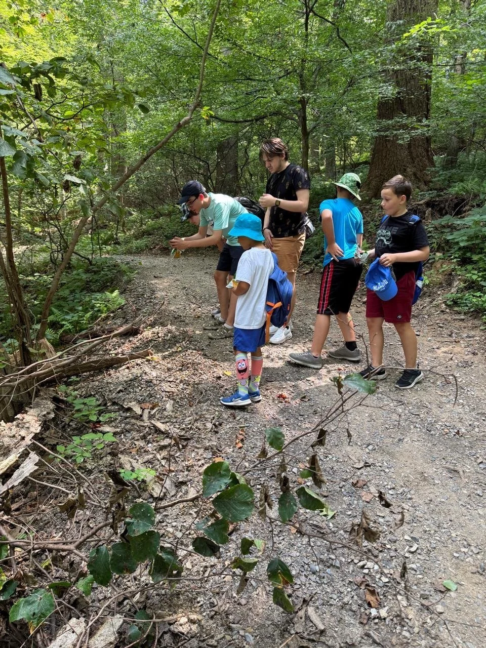 Group of children and an adult exploring a forest trail, some looking at the ground and one taking notes, surrounded by green trees and foliage.