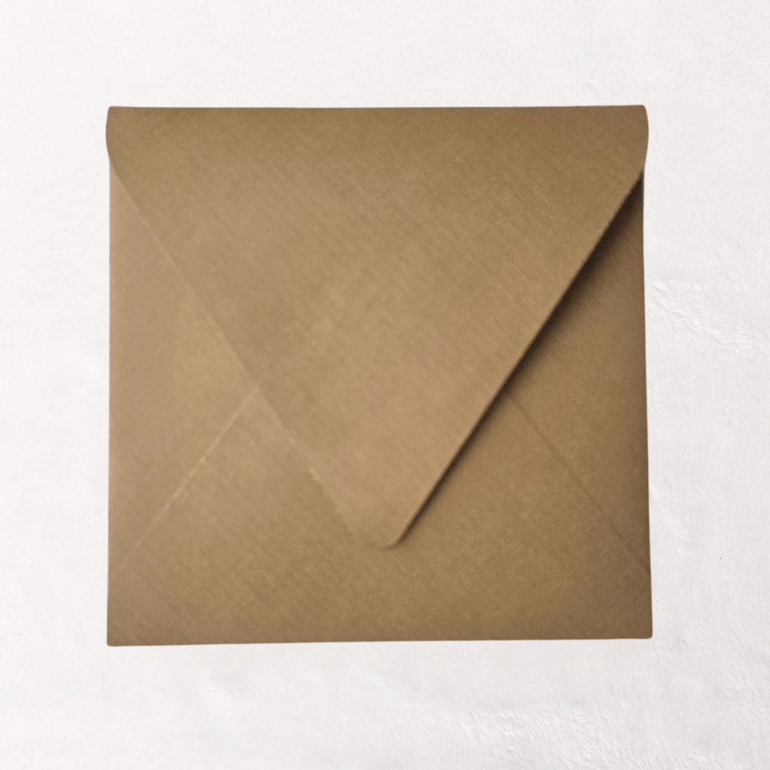 DBLT Brown European envelope closed