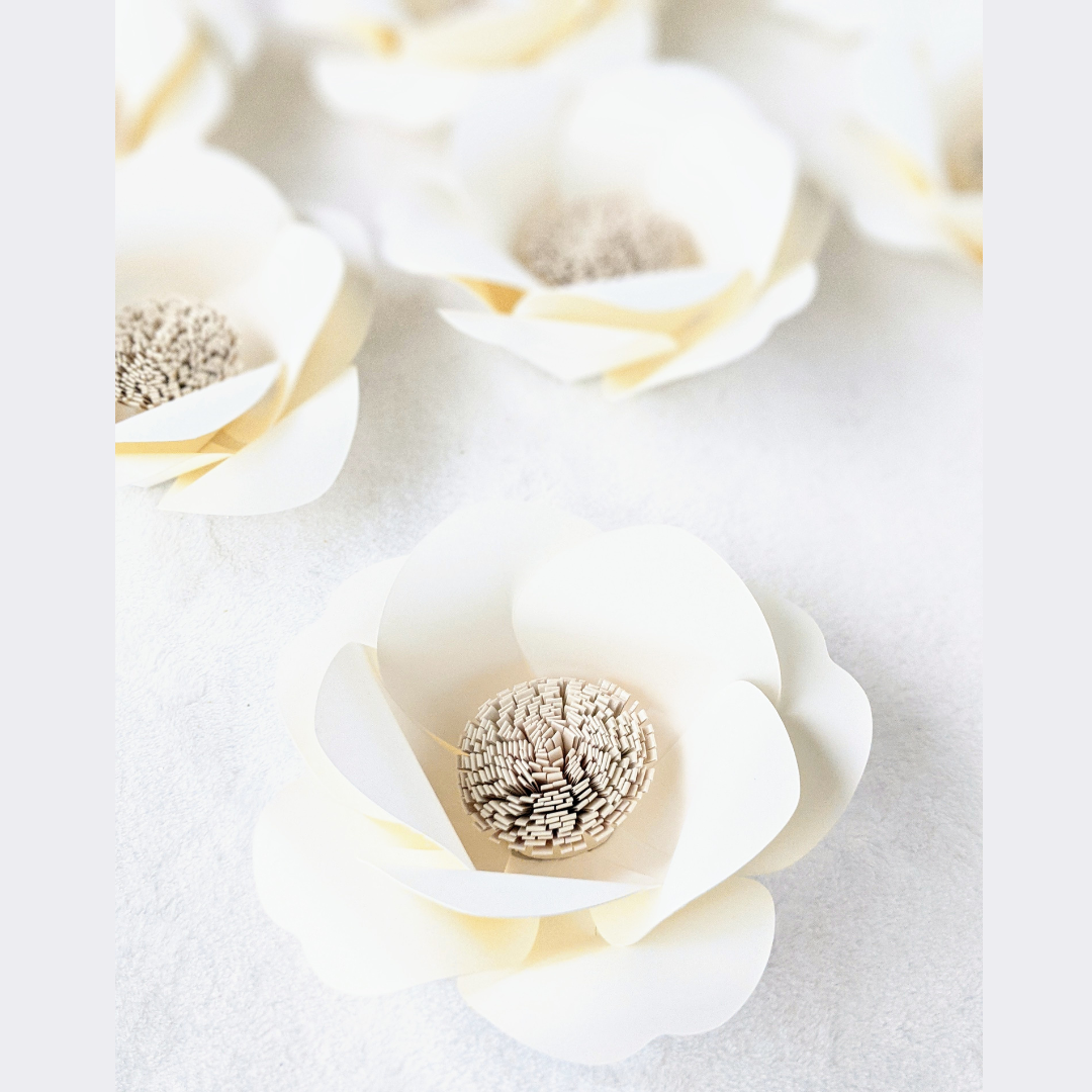 Ivory Anemone Bloom Set — Handcrafted Floral Luxe (Set of 12)