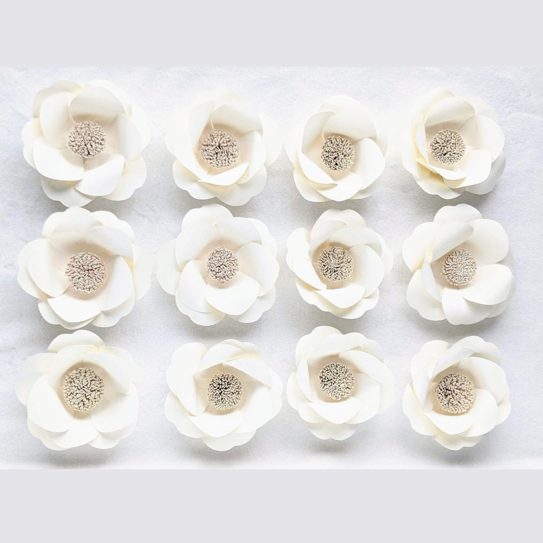 3. IVORY ANOMONE SET OF 12.png