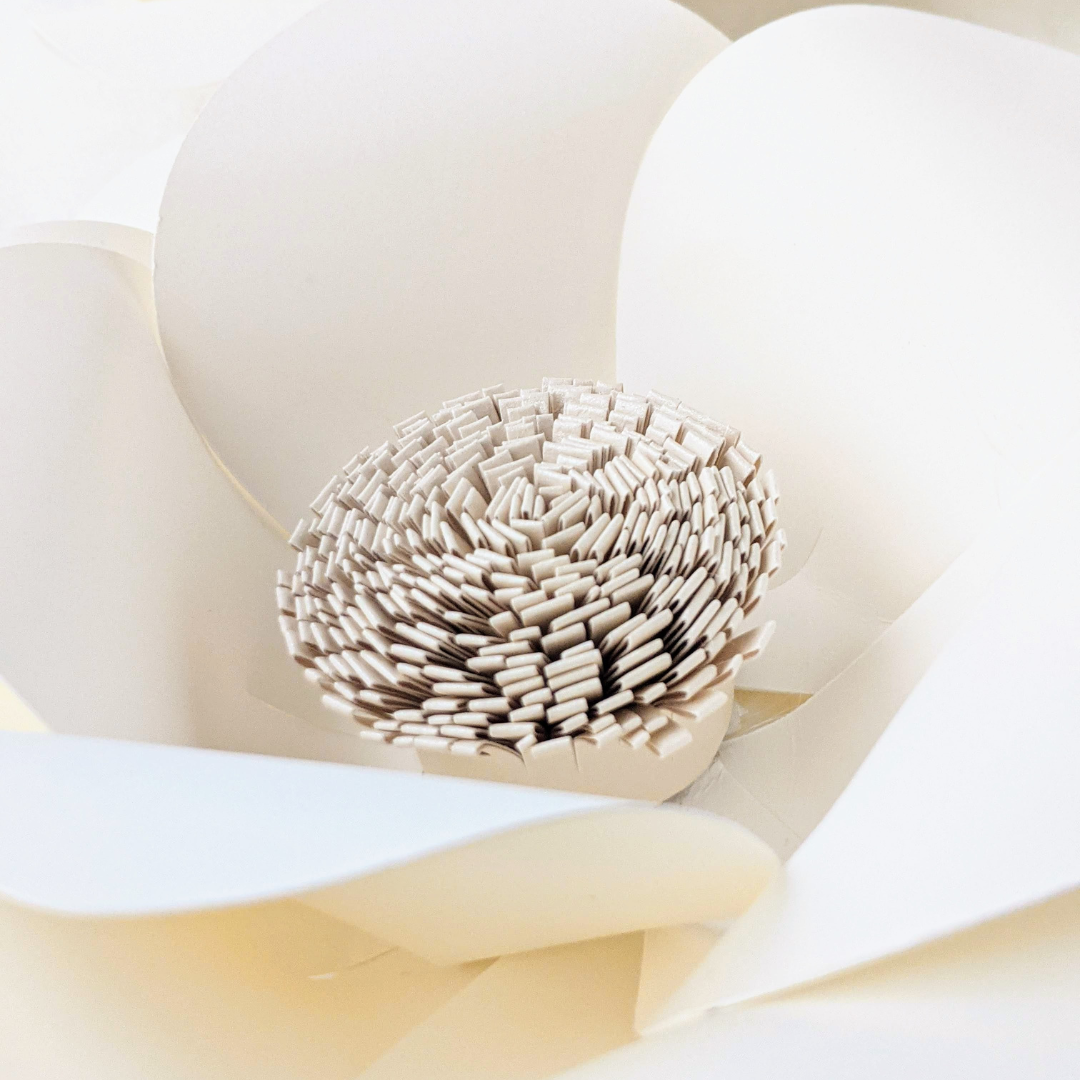 IVORY ANOMONE CENTER CLOSEUP MAIN.png