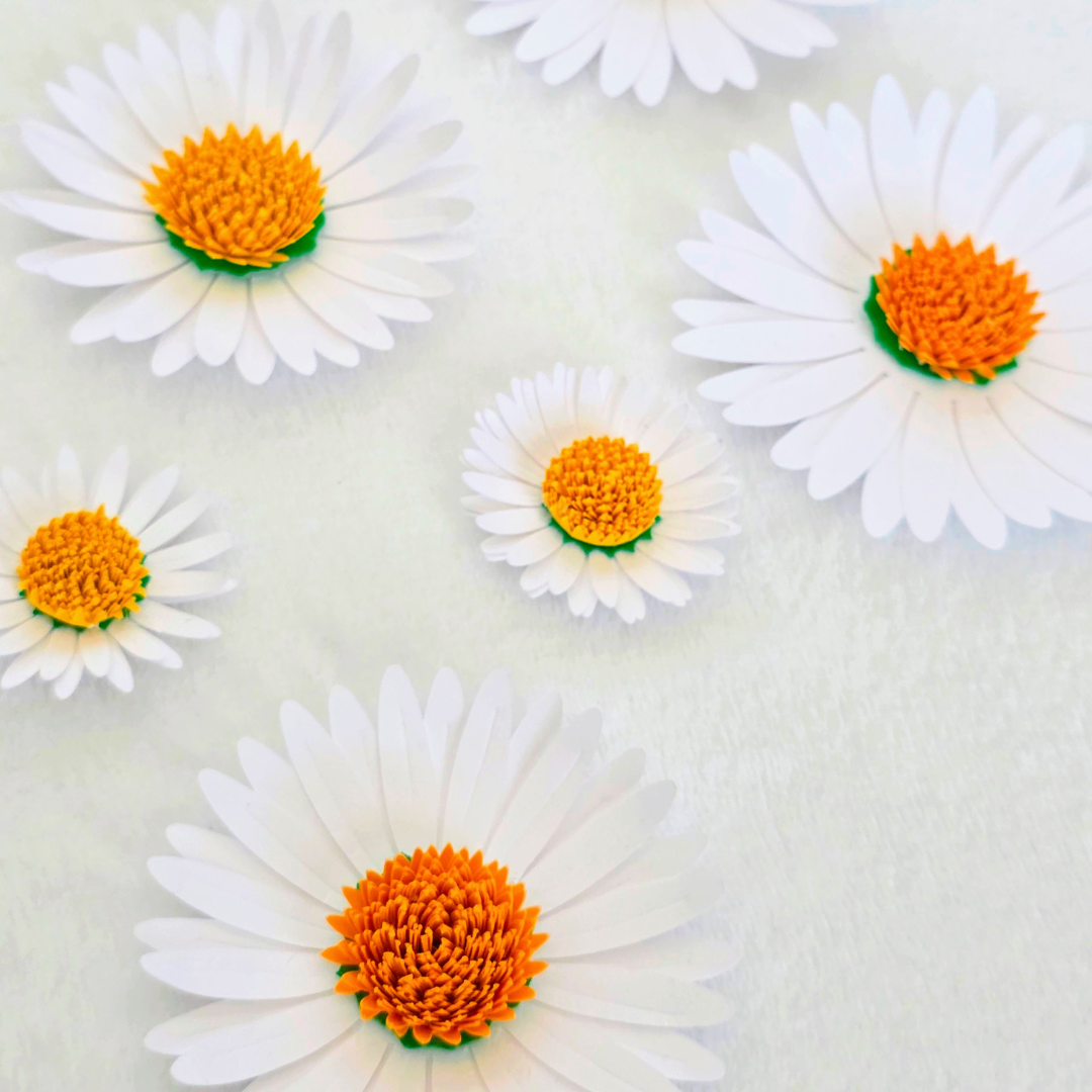 Handmade Daisy Paper Flowers by Designs by Lorraine T.png