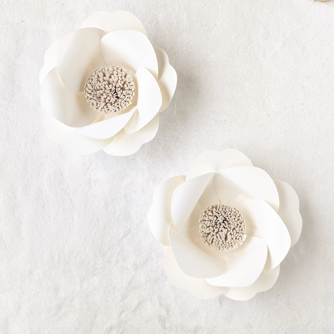 IVORY ANOMONE TWO FLOWERS.png