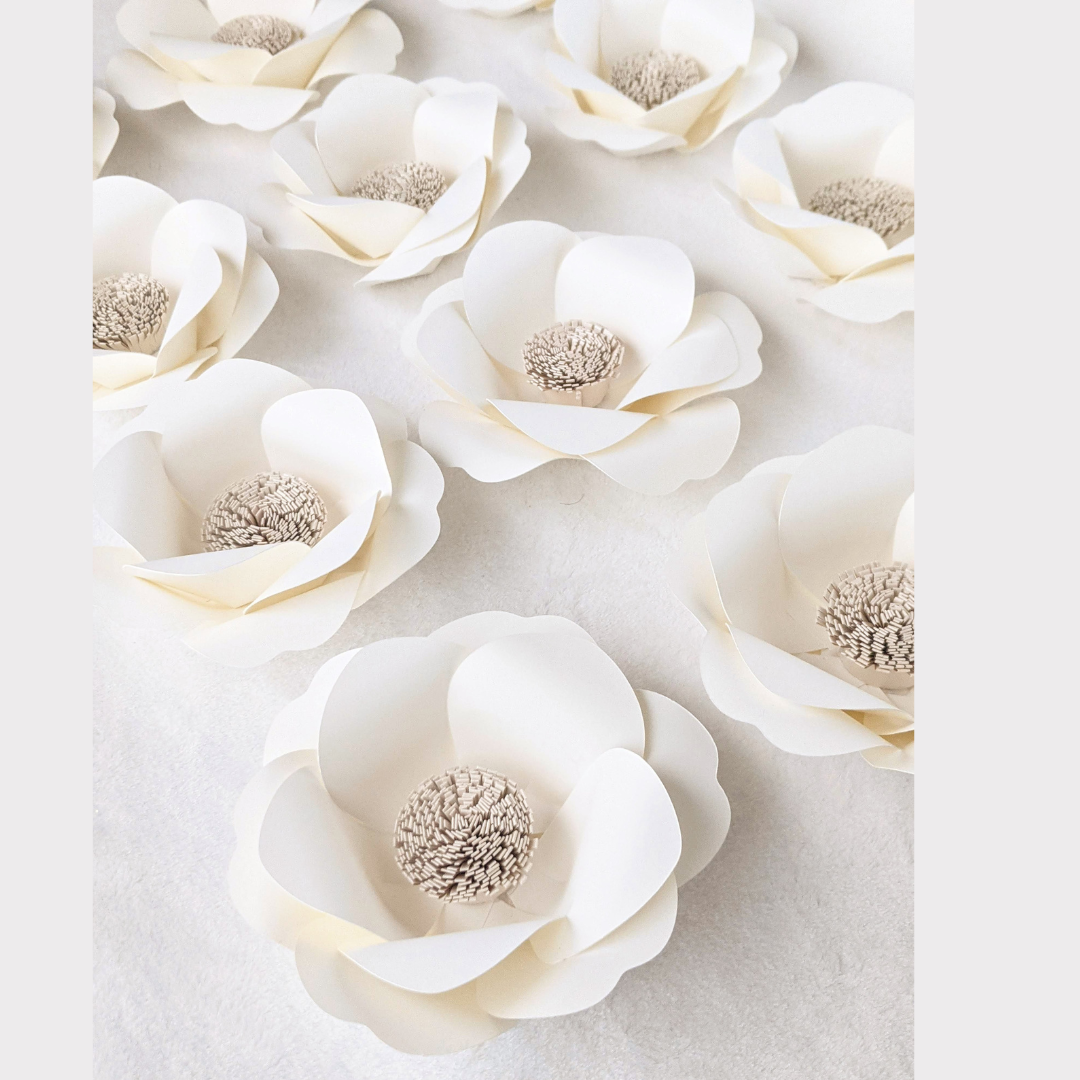 IVORY ANOMONE SCATTER CLOSEUP.png
