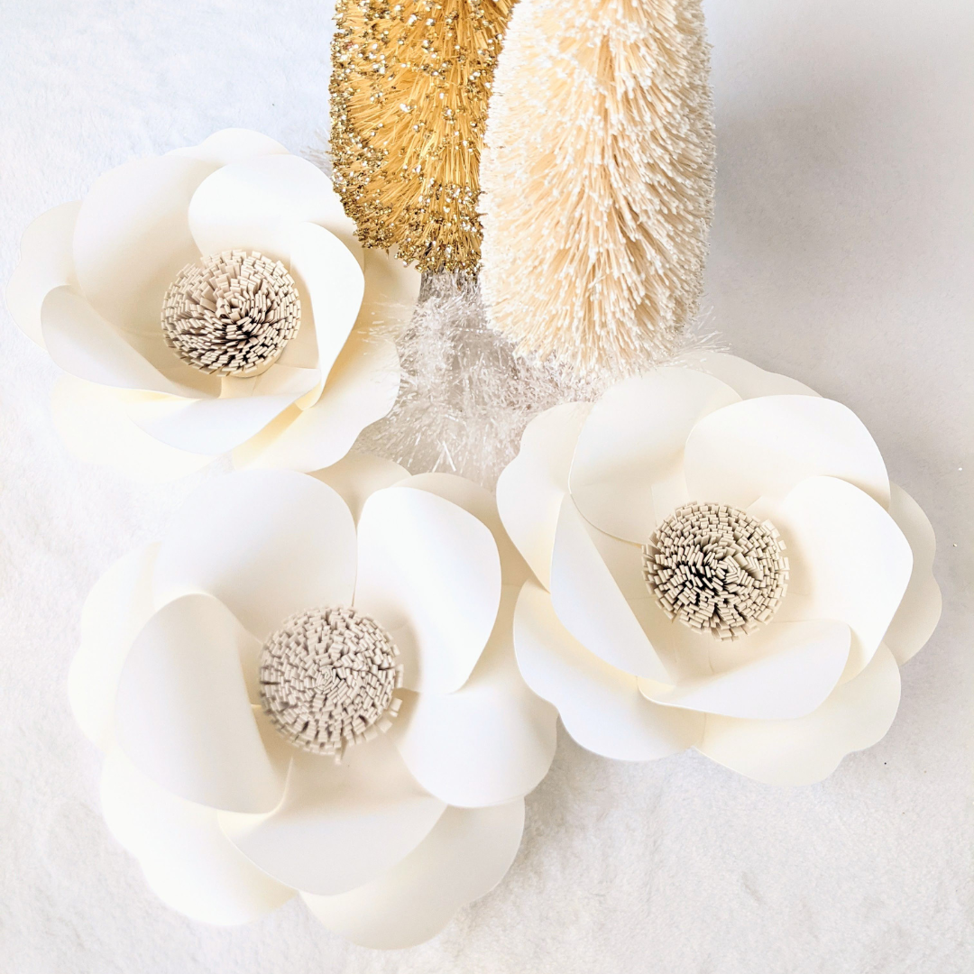 IVORY ANOMONE TREE BOTTOMS.png