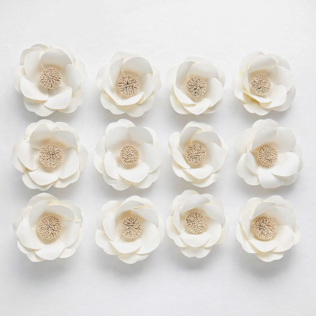 IVORY ANOMONE SET OF 12.png