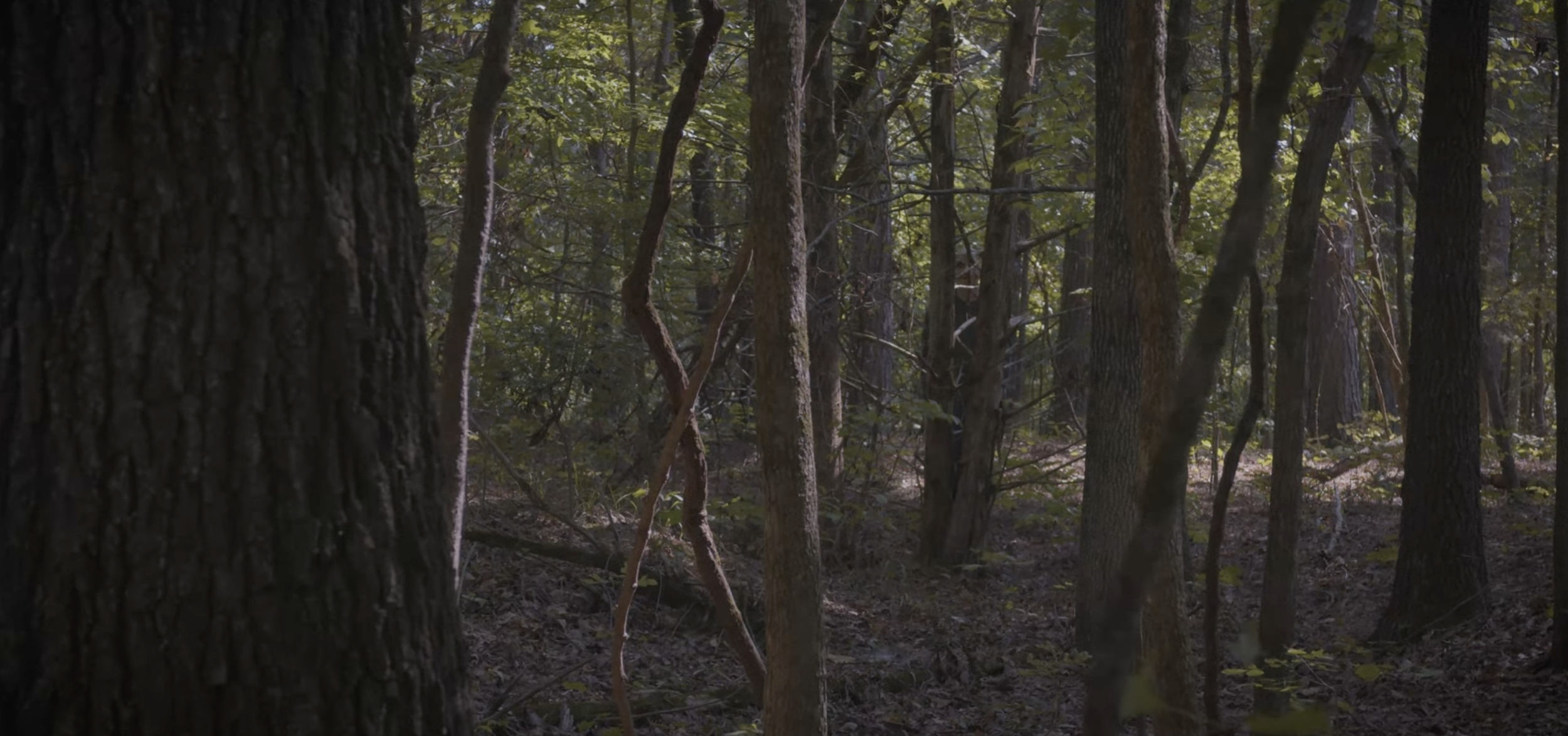 Screenshot 2026-04-05 at 5.56.12 PM.png