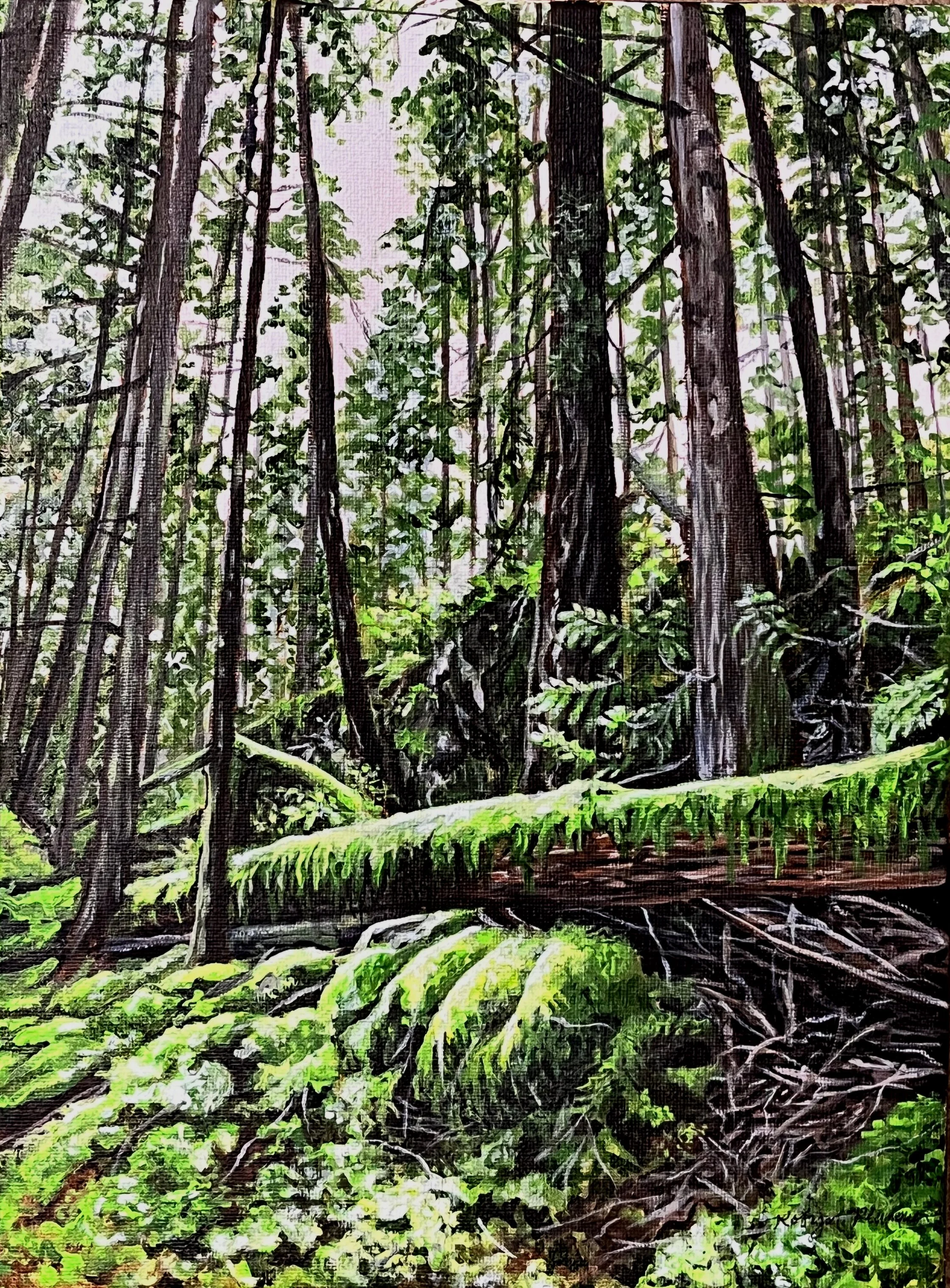 In Cypress Falls Park