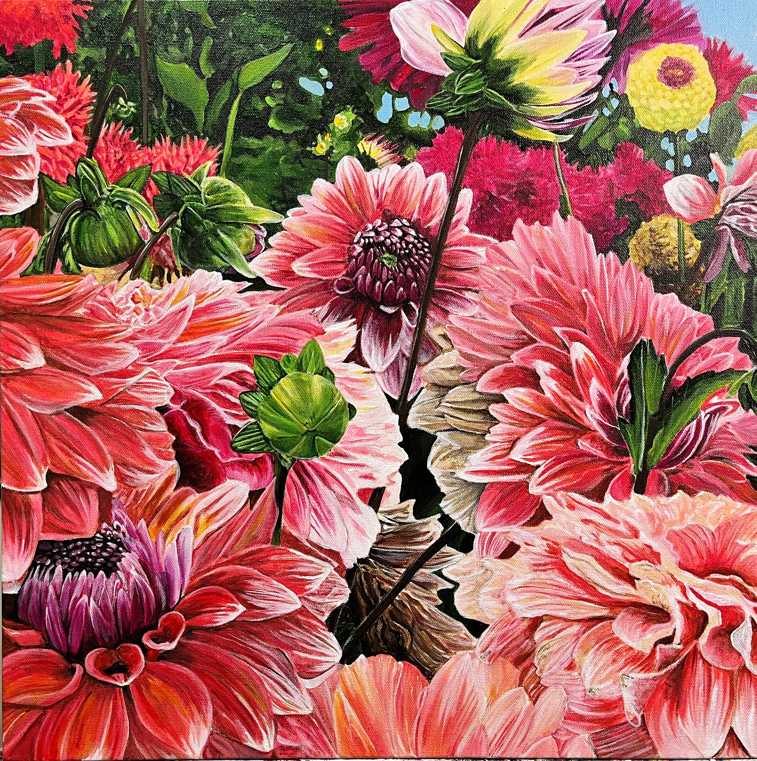 dahlias