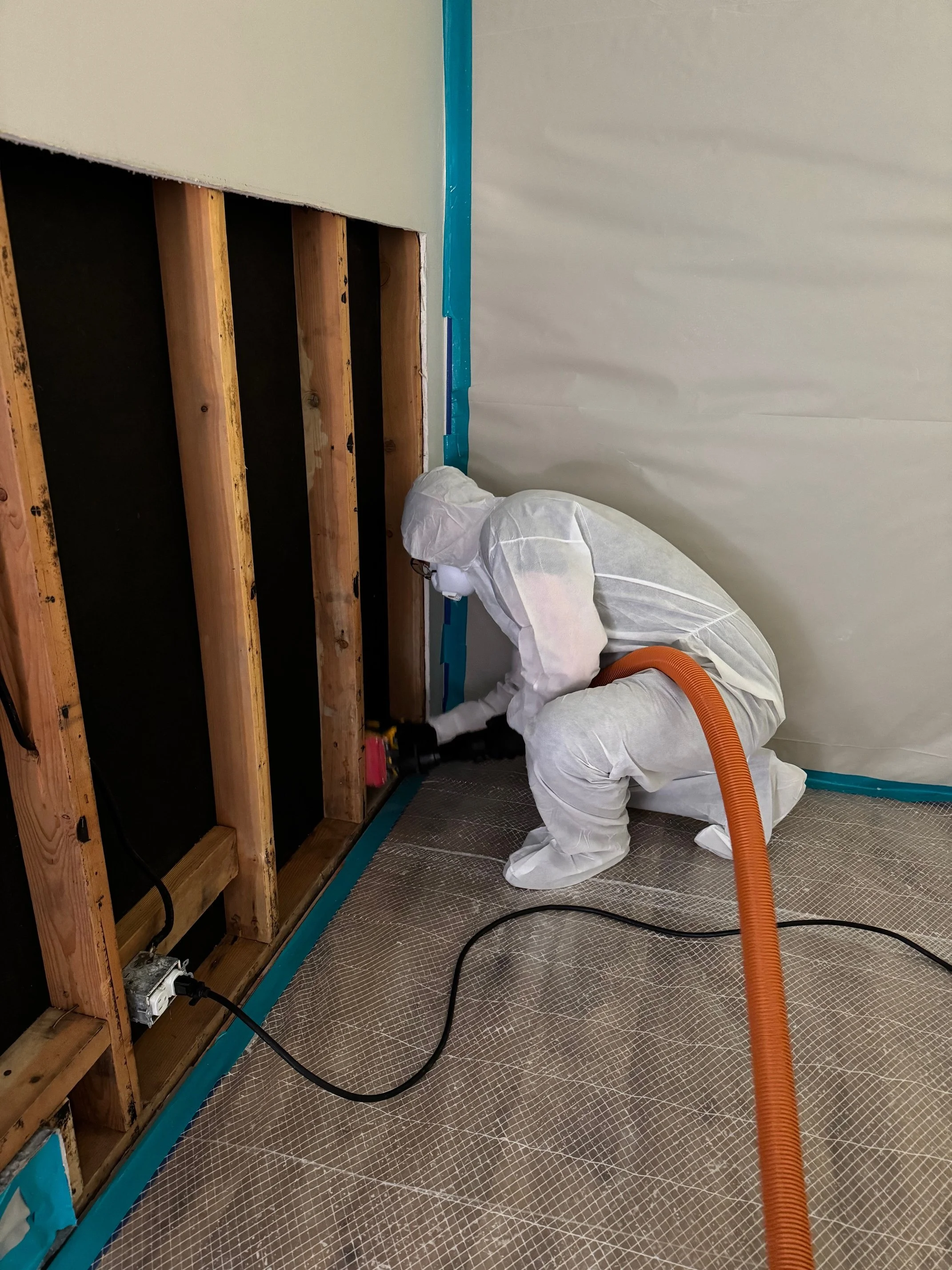 Mold Remediation